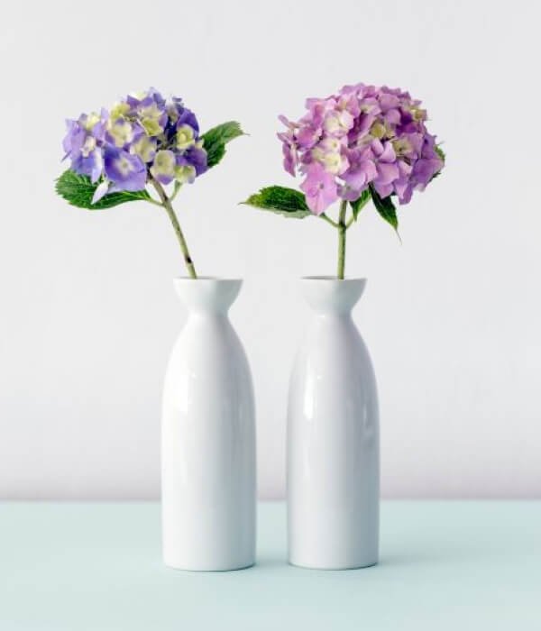 Flower Pots